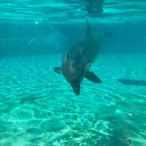 Meet your Posher, Lorraine